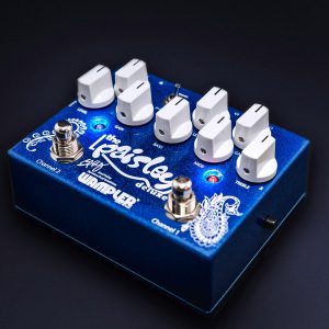 Paisley Deluxe