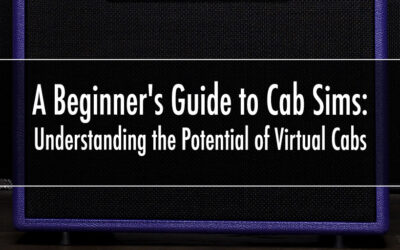 A Beginner’s Guide to Cab Sims